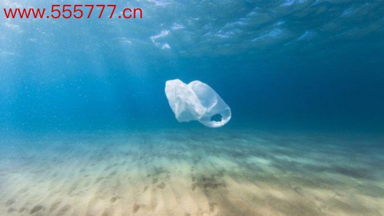 海洋中的塑料袋垃圾（英国广播公司）